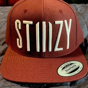 Stizy Snapback Hat